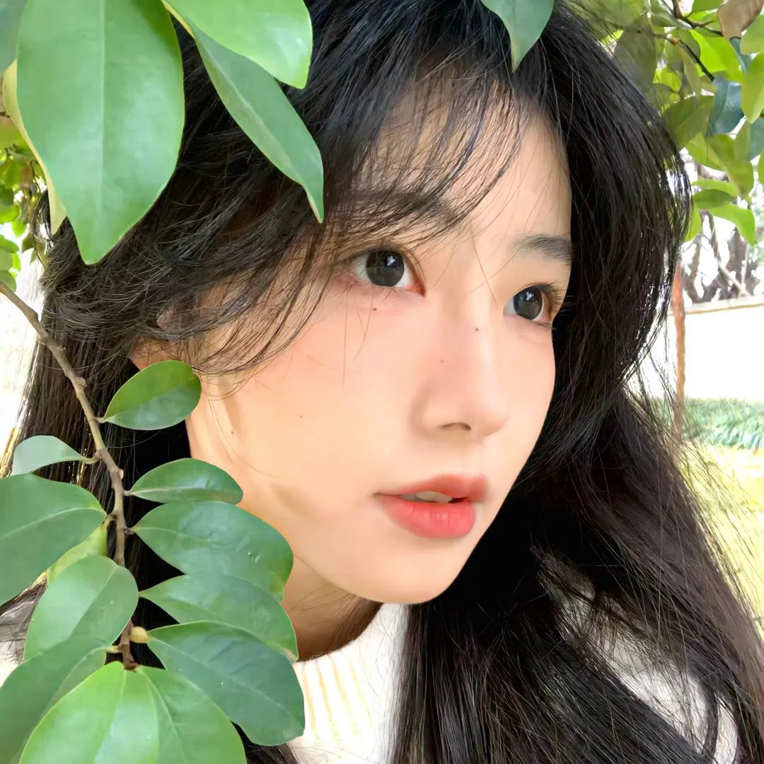 支离人 在线观看封面