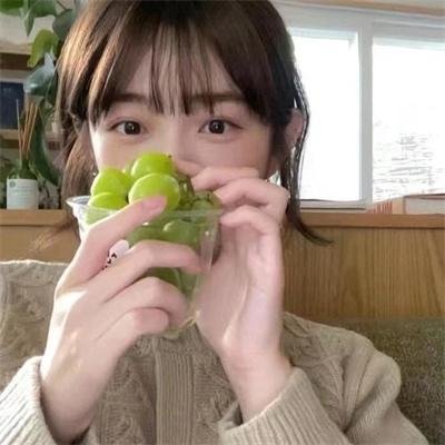 双生赤狐 在线观看封面